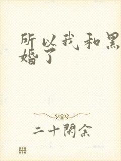 所以我和黑粉结婚了