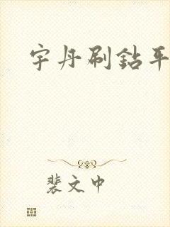 宇丹刷钻平台
