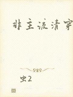 非主流清穿