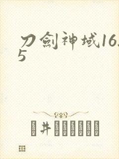 刀剑神域16.5