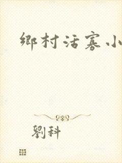 乡村活寡小说封面