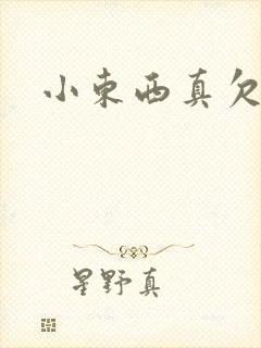 小东西真欠弄