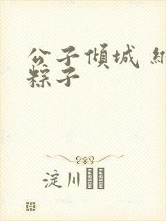 公子倾城 维和粽子封面