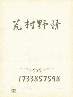 荒村野情