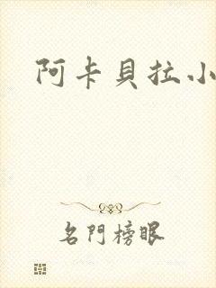 阿卡贝拉小说封面