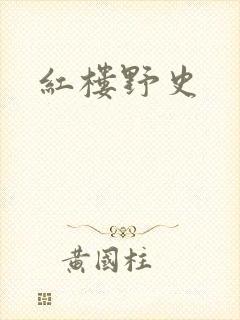 红楼野史