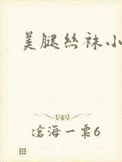 美腿丝袜小说