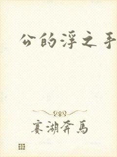 公的浮之手中字