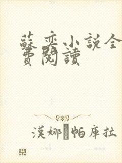 苏奕小说全文免费阅读