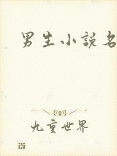 男生小说名字封面
