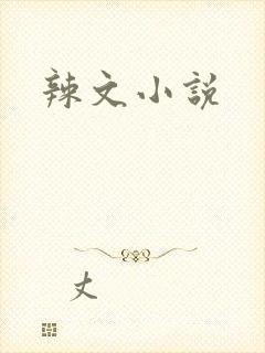辣文小说封面