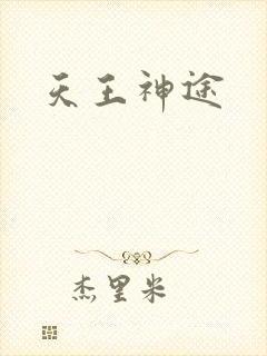 天王神途封面