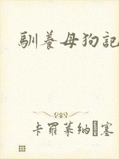 驯养母狗记封面