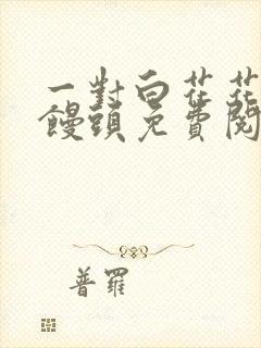 一对白花花的大馒头免费阅读
