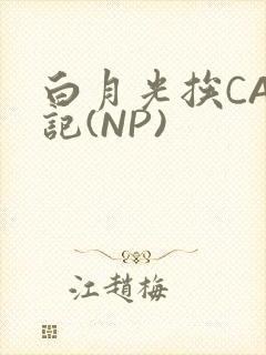 白月光挨CAO记(NP)