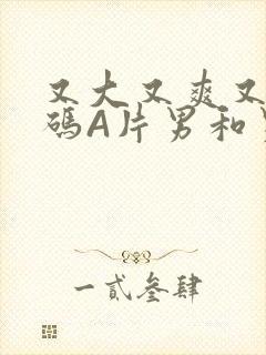 又大又爽又黄无码A片男和男