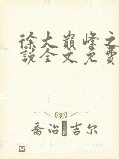 徐大巅峰之路小说全文免费阅读