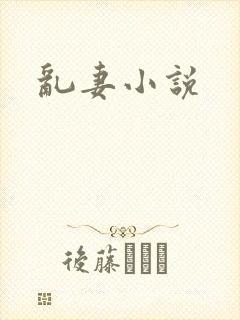 乱妻小说