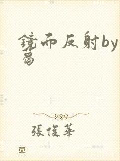 镜面反射by九葛