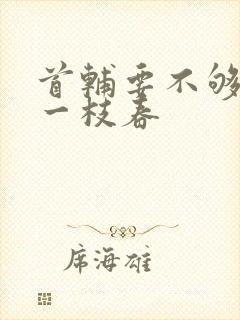 首辅要不够po一枝春封面