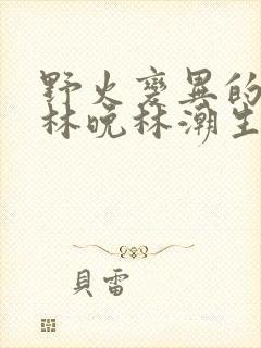 野火变异的父爱林晚林潮生