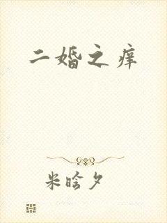 二婚之痒