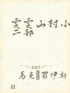 雯雯山村小说第二部封面