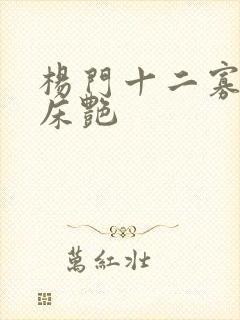 杨门十二寡妇肉床艳