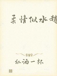 柔情似水赵雅儿