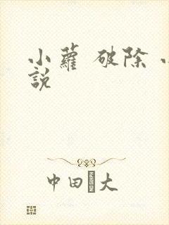 小萝 破除 小说