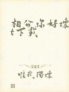 相公你好坏txt下载
