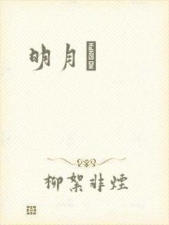 明月珰