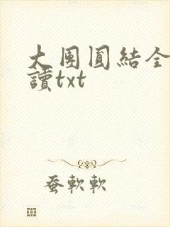 大团圆结全文阅读txt