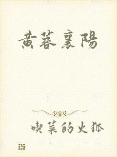 黄蓉襄阳