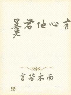 暴君他心有白月光封面