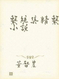 系统集精系统 小说
