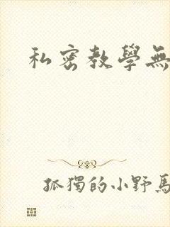 私密教学无删减