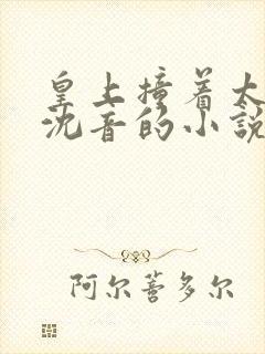 皇上撞着太子妃沈音的小说叫什么