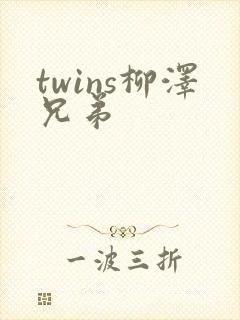 twins柳泽兄弟