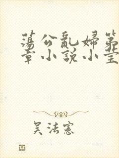 荡公乱妇第51章小说小莹封面