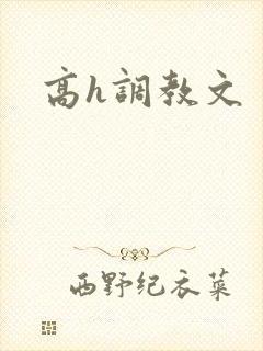 高h调教文