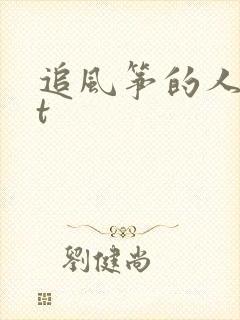 追风筝的人txt