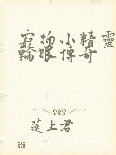 宠物小精灵之写轮眼传奇封面