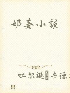 奶妾小说
