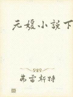 元媛小说下载