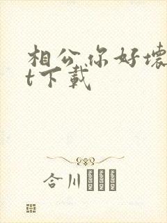 相公你好坏txt下载