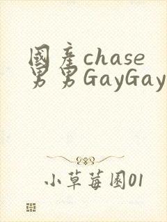 国产chase男男GayGay