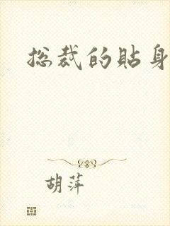 总裁的贴身女佣