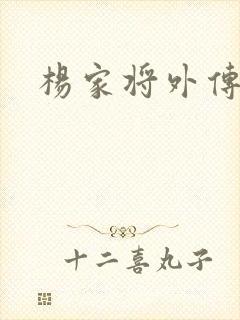 杨家将外传