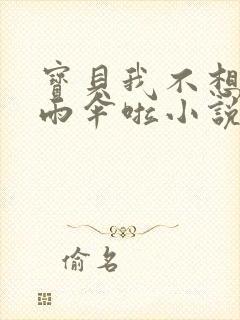 宝贝我不想带小雨伞啦小说